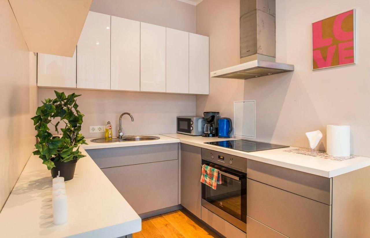 Central 2-Level Penthouse With Terrace And Free Parking Riga Exterior foto